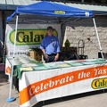 2011 Morro Bay Avocado and Margarita Festival.