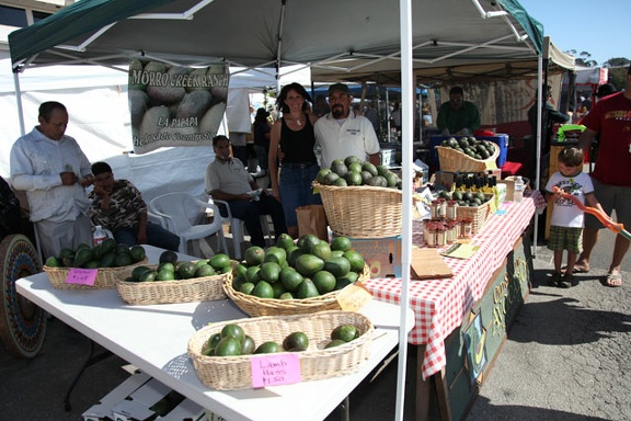 2011 Morro Bay Avocado and Margarita Festival.