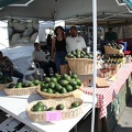 2011 Morro Bay Avocado and Margarita Festival.