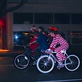 IMG 7687