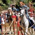dsc0244