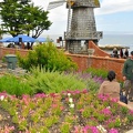 dsc0052