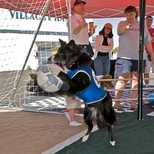 Arroyo Grande Strawberry Festival 2010