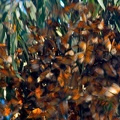 dsc0002