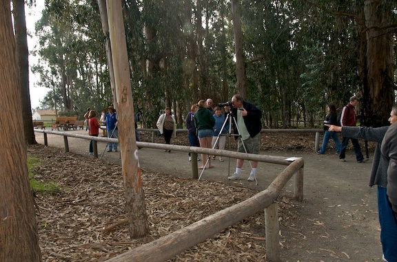 dsc0003-1.jpg