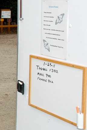 dsc0005-version-2.jpg