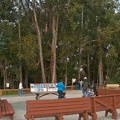 dsc0010.jpg