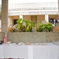 dsc0206