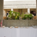 dsc0209