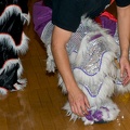 dsc0505