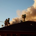 img 7754