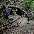 dsc0001
