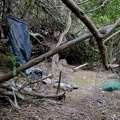 dsc0002