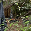 dsc0009