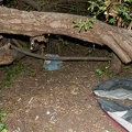 dsc0017