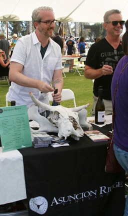 img_8313_1.jpg