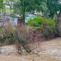 image1(3).jpeg