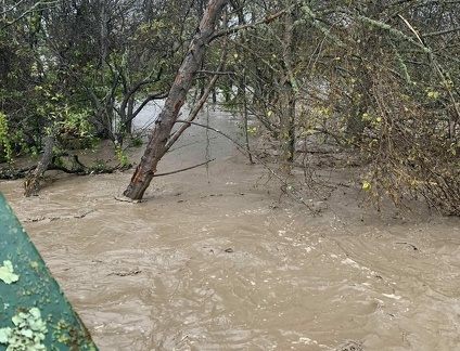 Flood-12