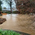 Flood Jeff 8